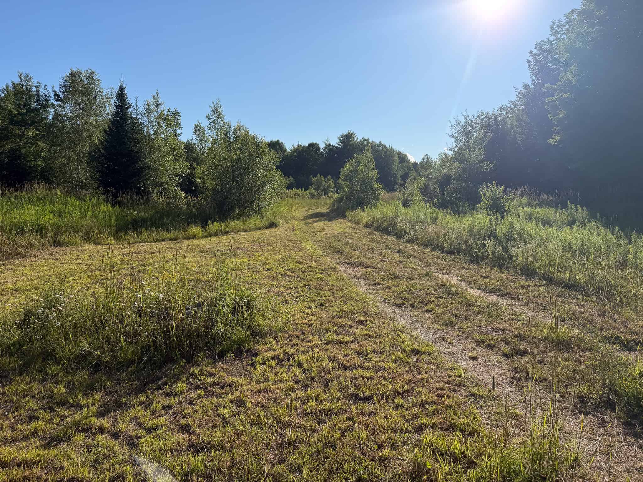 Expansive 195 Acre Parcel – Reed Plantation, Maine