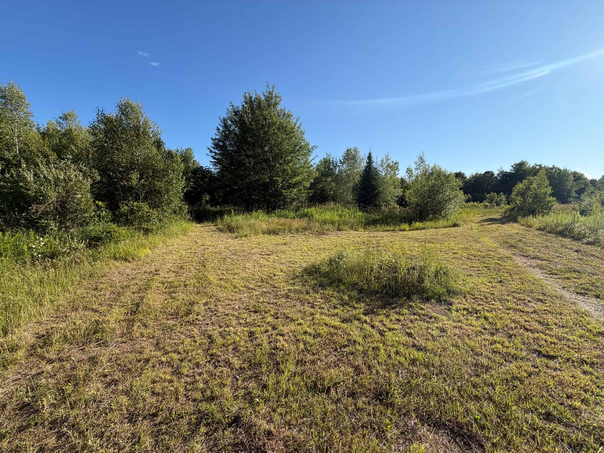 Expansive 195 Acre Parcel – Reed Plantation, Maine
