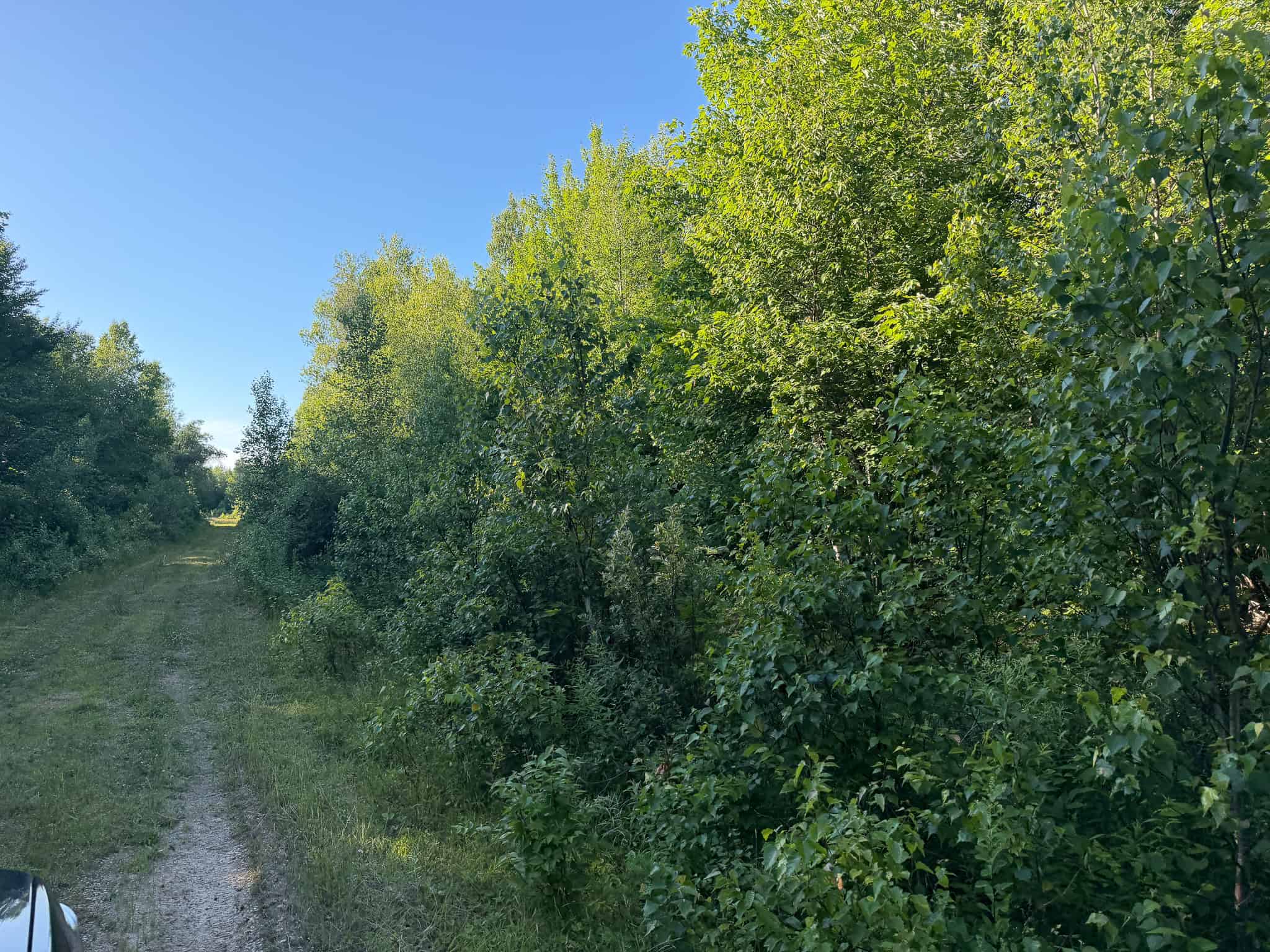 Expansive 195 Acre Parcel – Reed Plantation, Maine