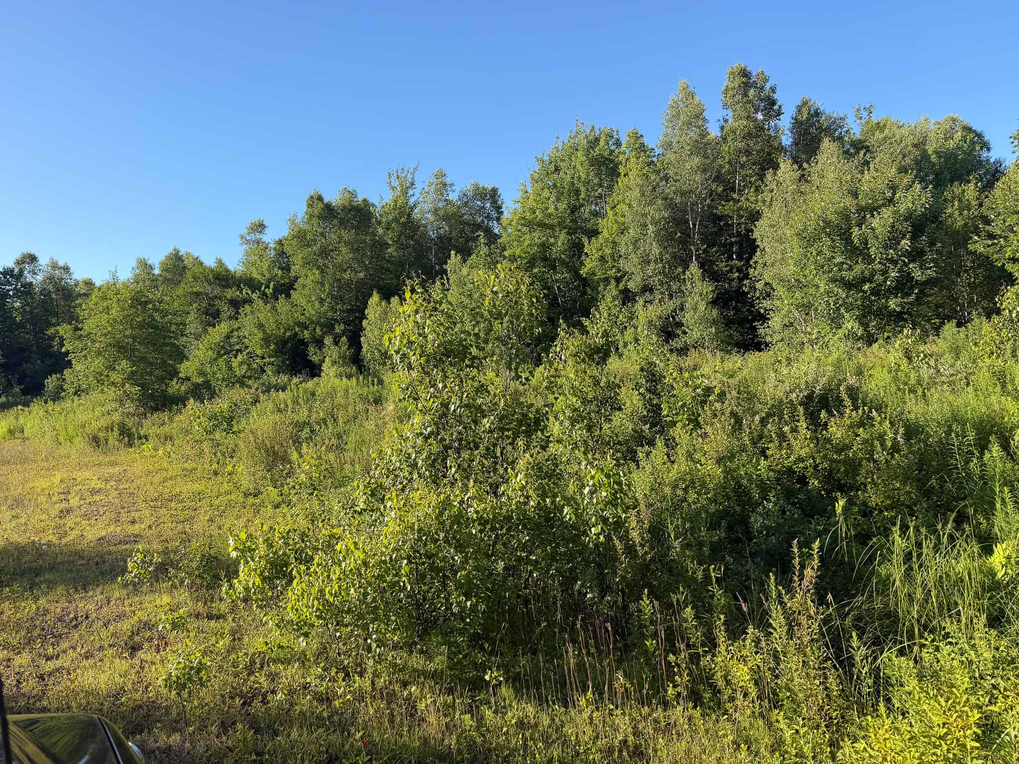 Expansive 195 Acre Parcel – Reed Plantation, Maine