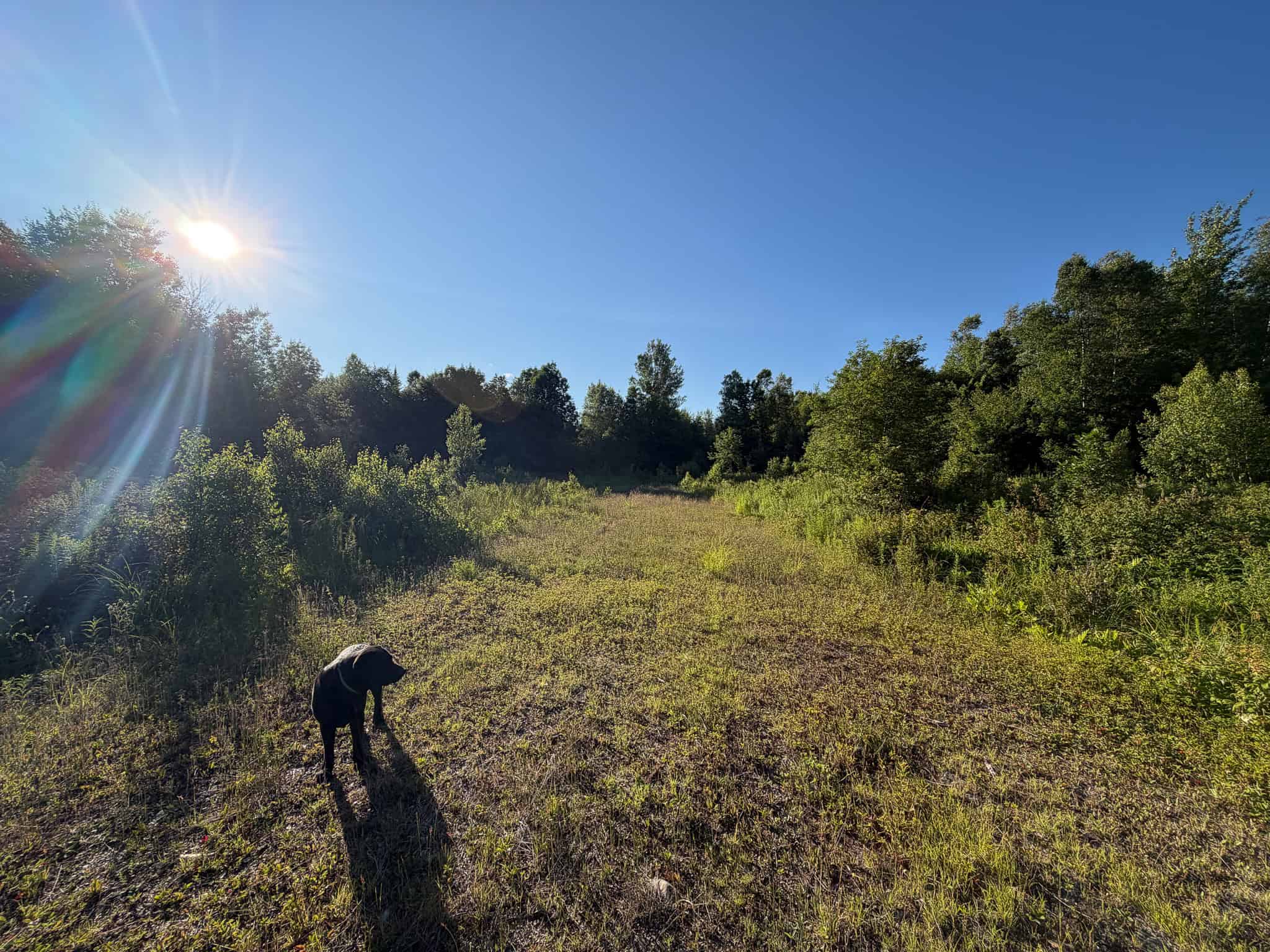 Expansive 195 Acre Parcel – Reed Plantation, Maine