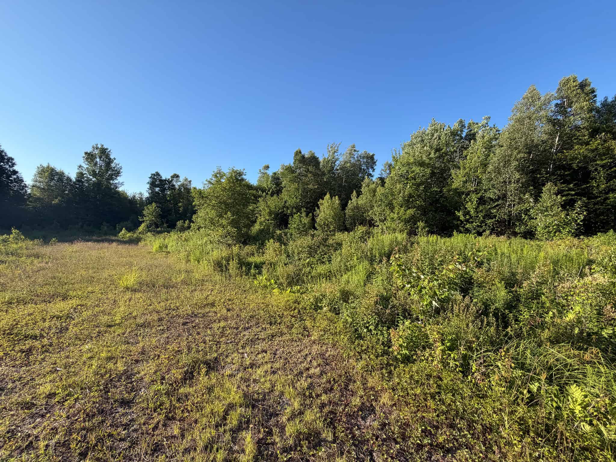 Expansive 195 Acre Parcel – Reed Plantation, Maine