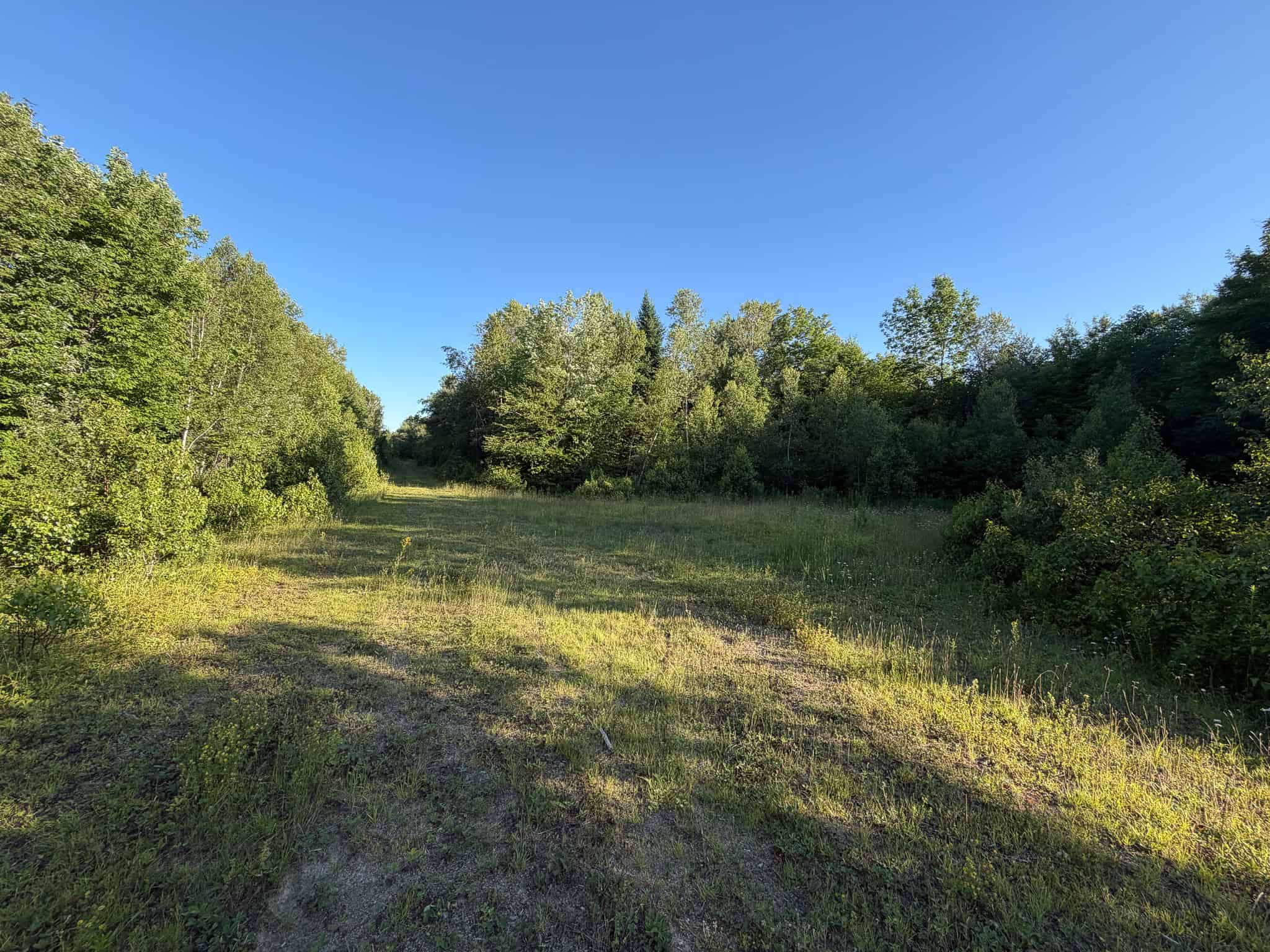 Expansive 195 Acre Parcel – Reed Plantation, Maine