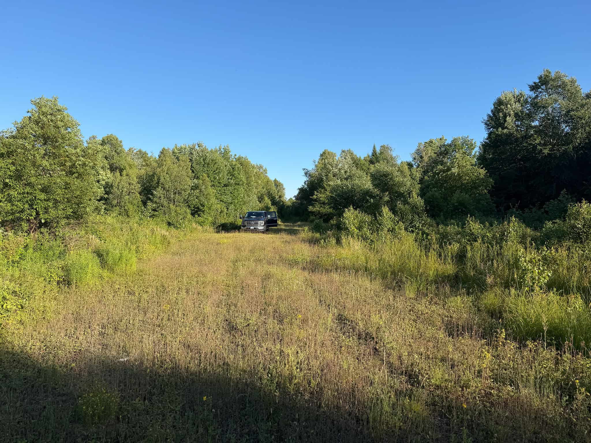 Expansive 195 Acre Parcel – Reed Plantation, Maine
