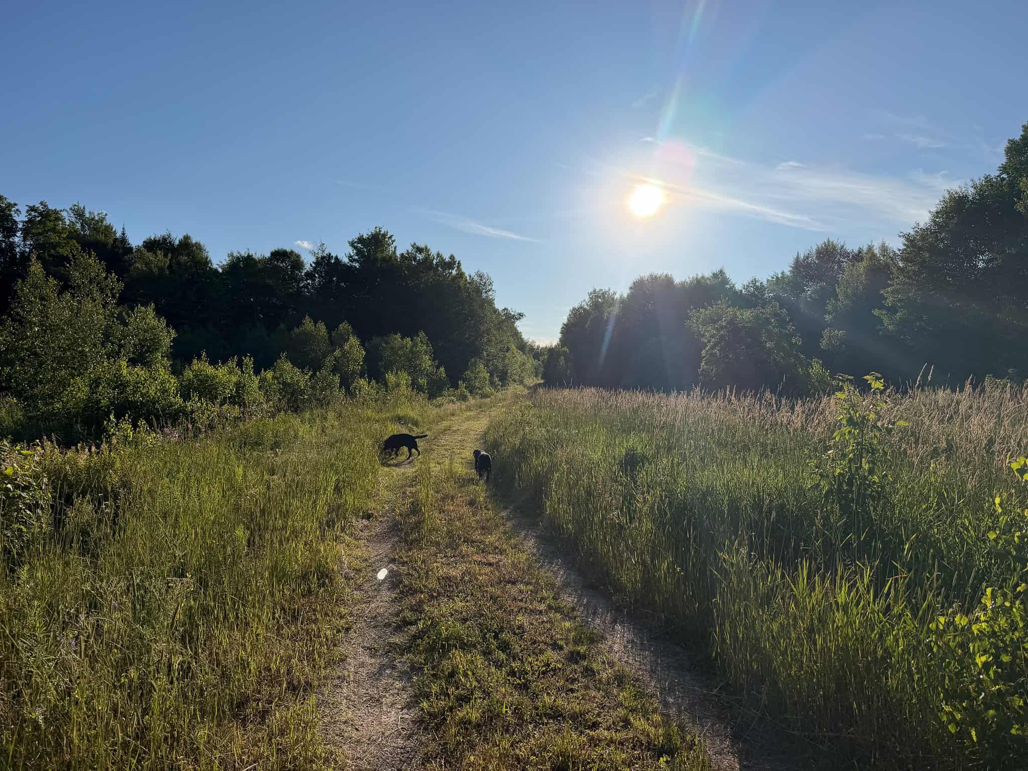 Expansive 195 Acre Parcel – Reed Plantation, Maine