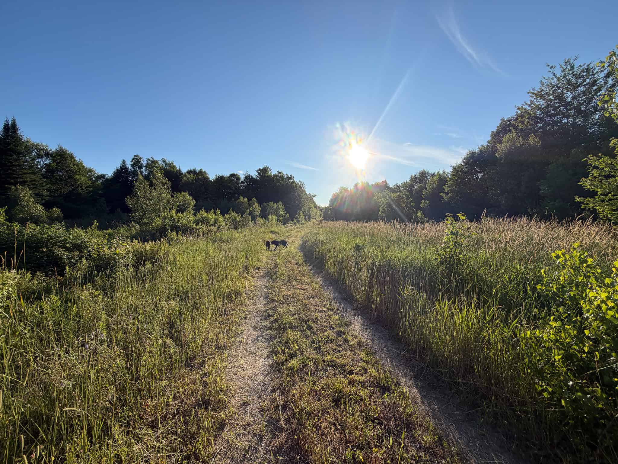 Expansive 195 Acre Parcel – Reed Plantation, Maine