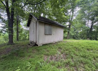 Monroe County 39 +/- Acres of Hunting Land