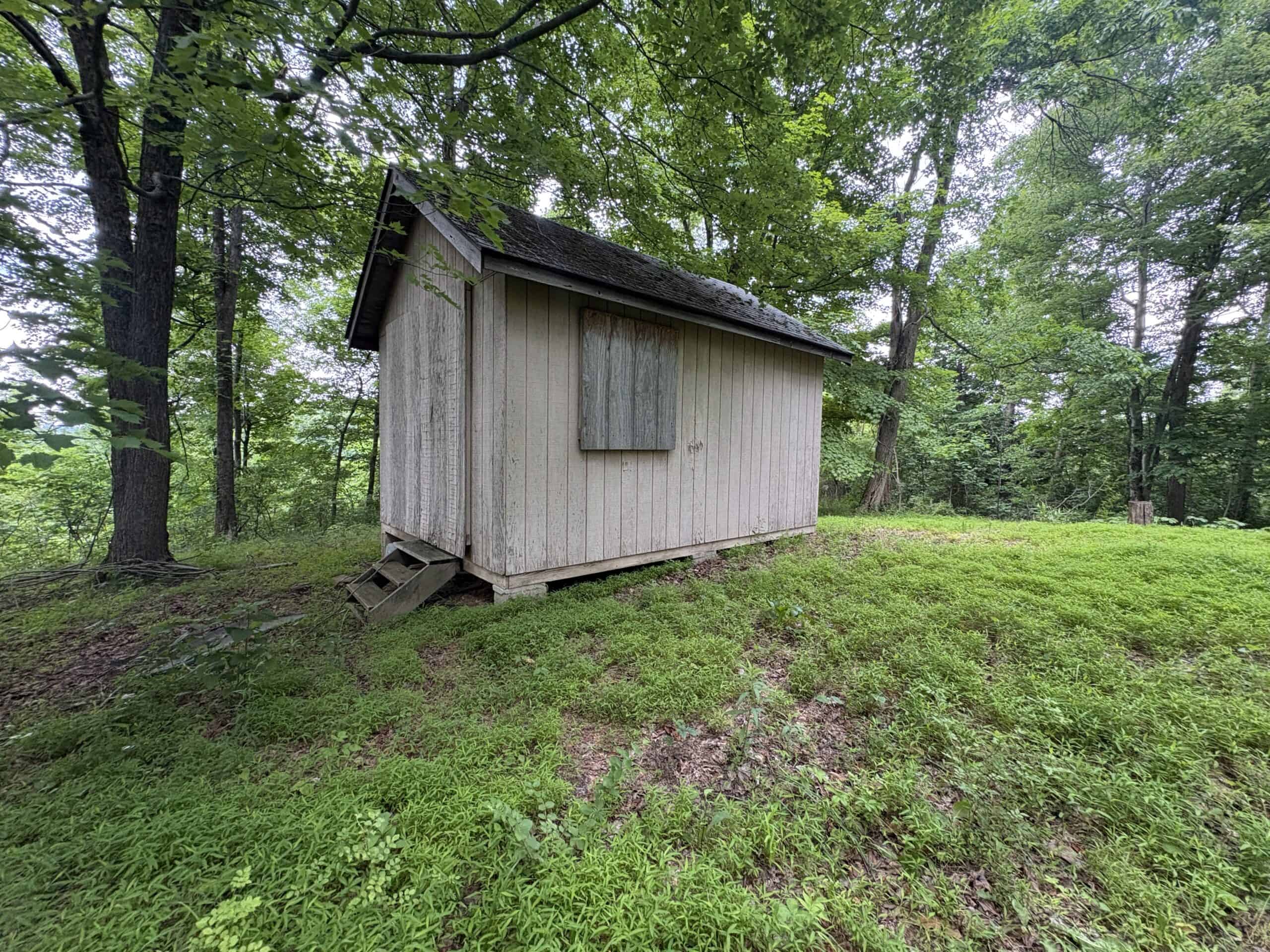 Monroe County 39 +/- Acres of Hunting Land