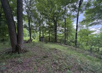 Monroe County 39 +/- Acres of Hunting Land