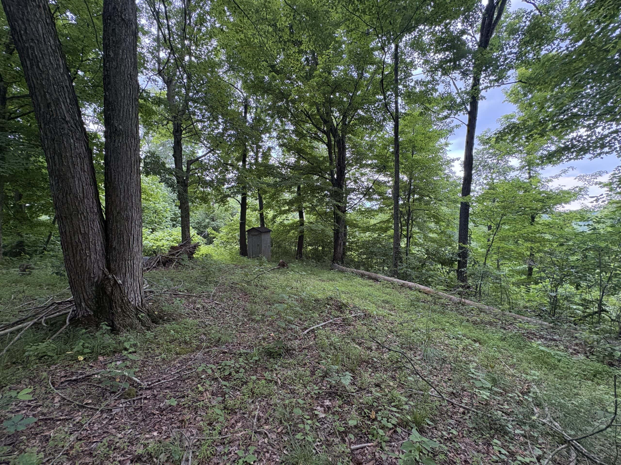 Monroe County 39 +/- Acres of Hunting Land