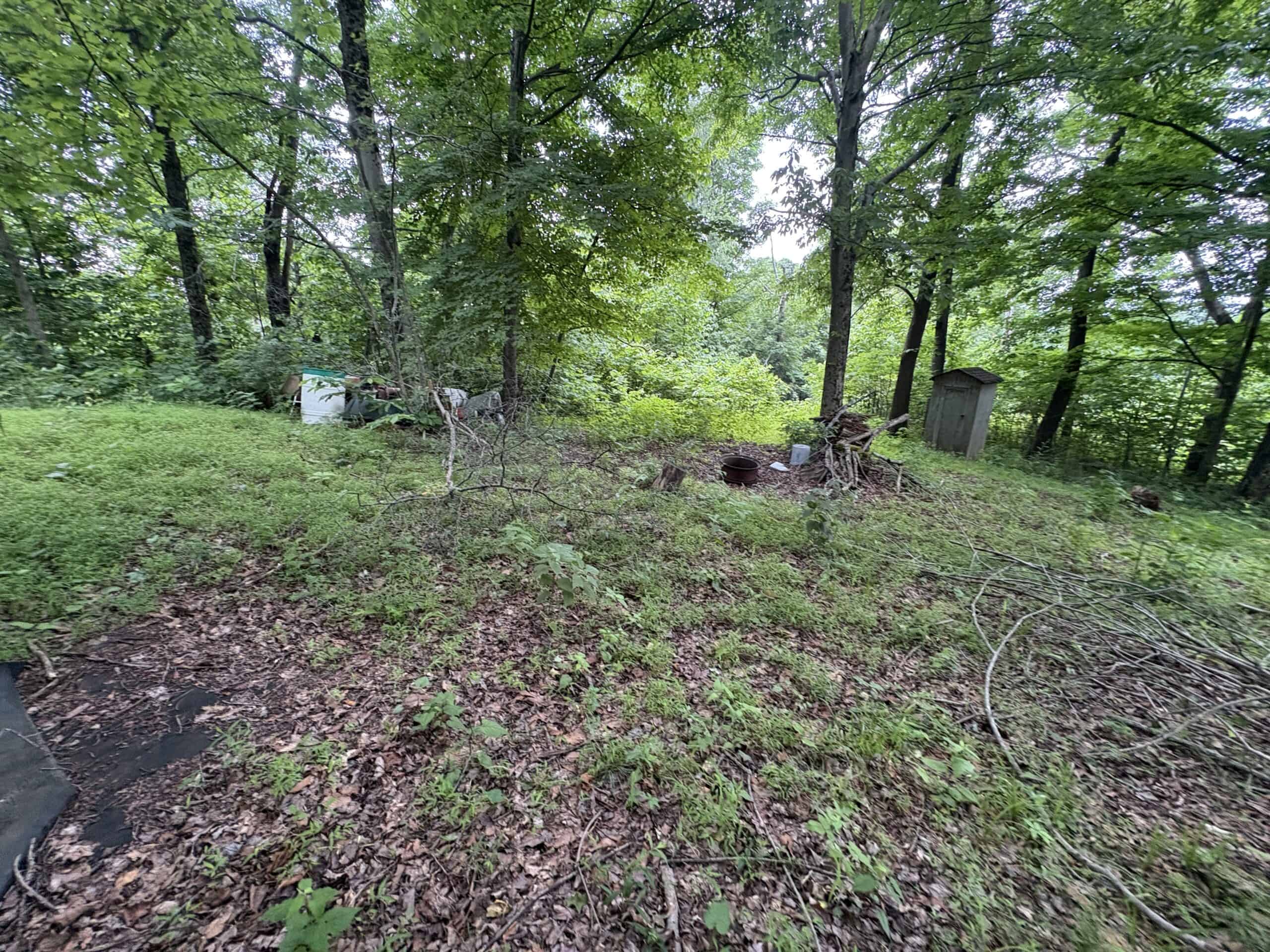 Monroe County 39 +/- Acres of Hunting Land