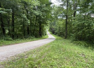 Monroe County 39 +/- Acres of Hunting Land