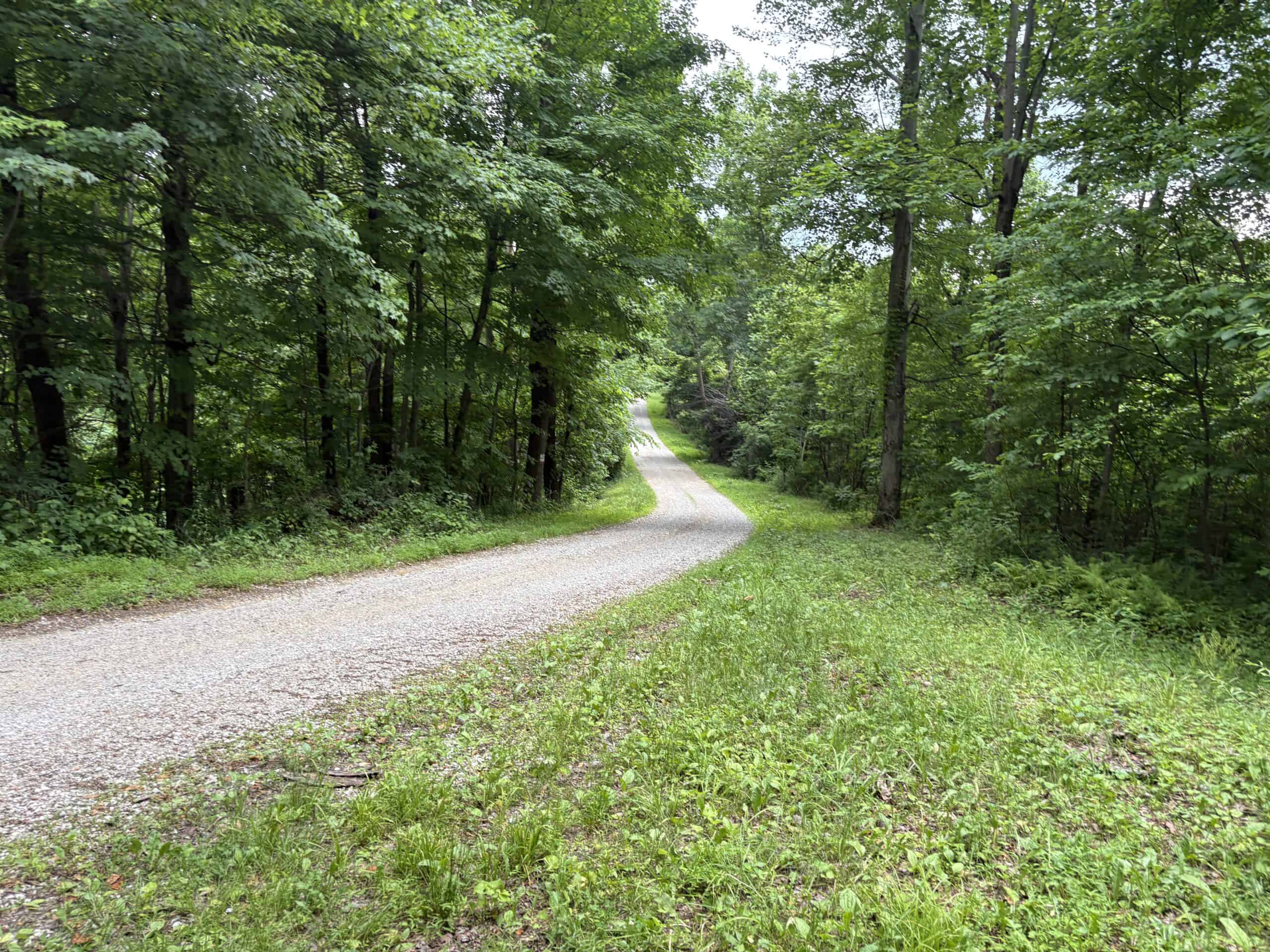 Monroe County 39 +/- Acres of Hunting Land