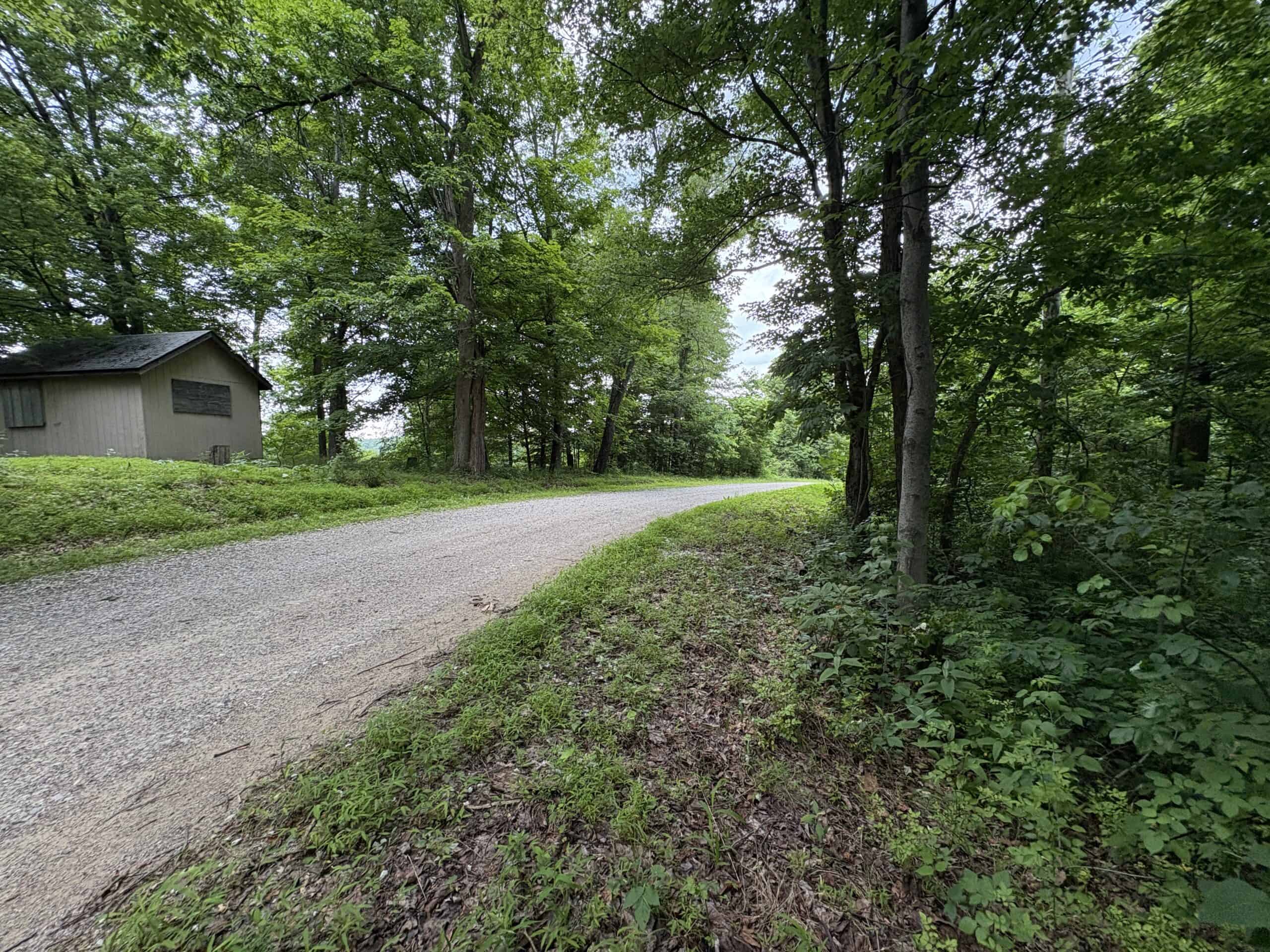 Monroe County 39 +/- Acres of Hunting Land