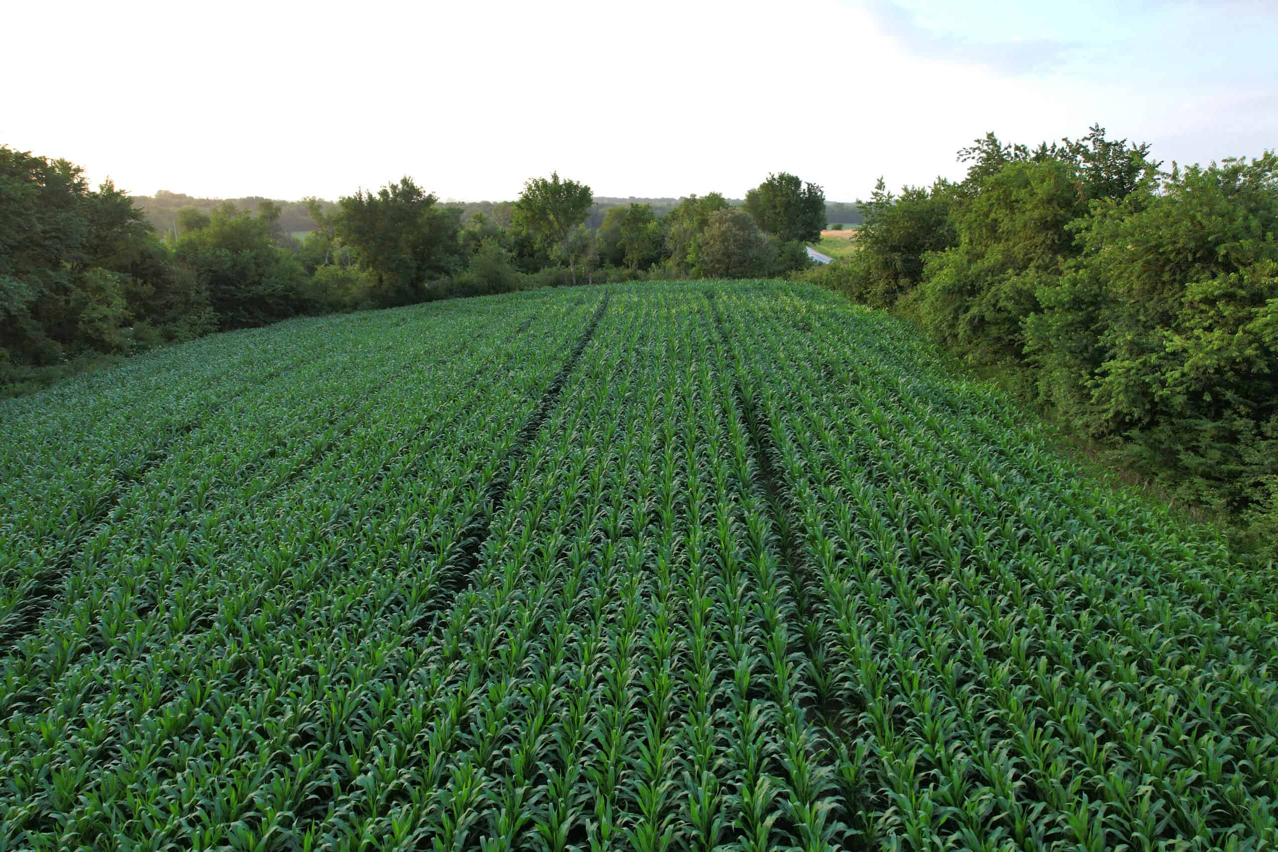 Recreational Land with Investment & Building Potential