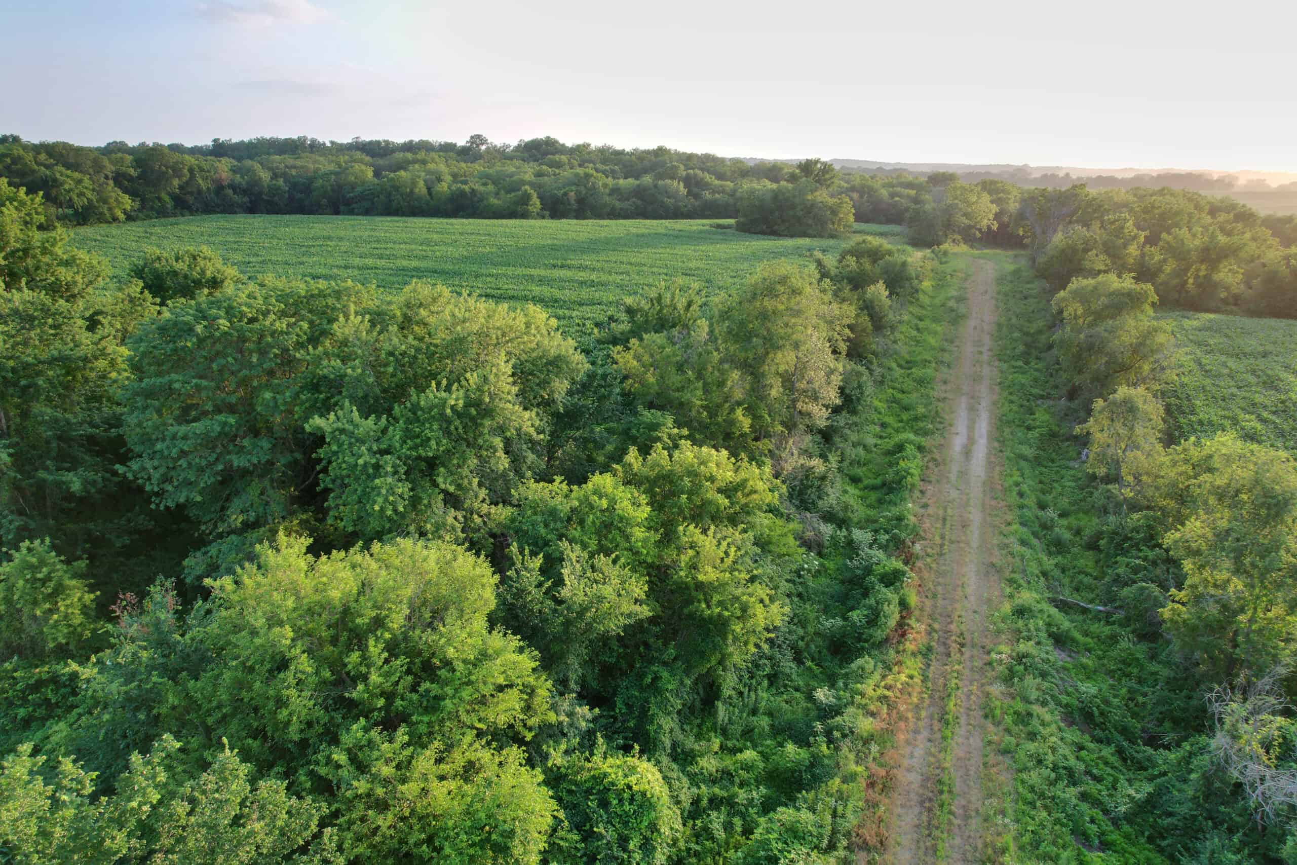 Recreational Land with Investment & Building Potential