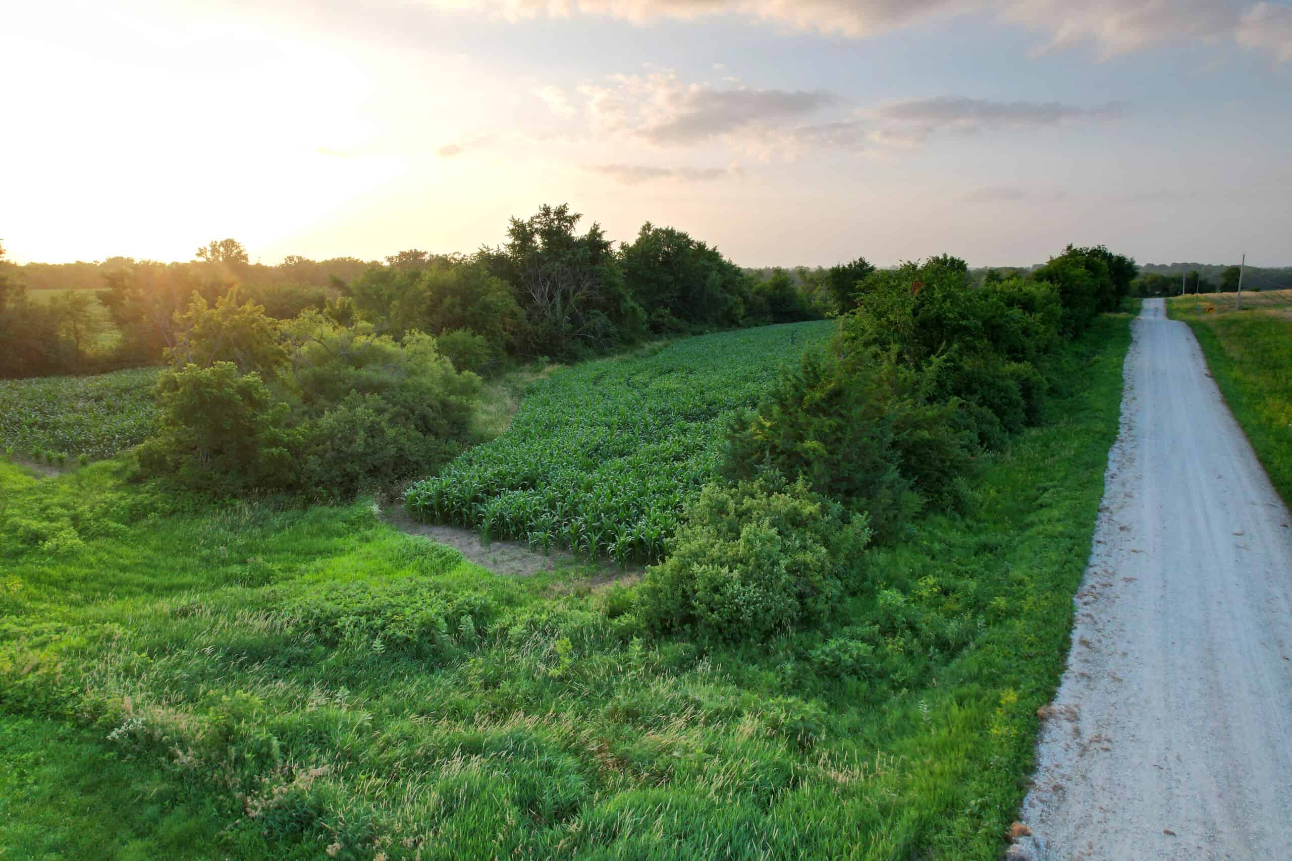 Recreational Land with Investment & Building Potential