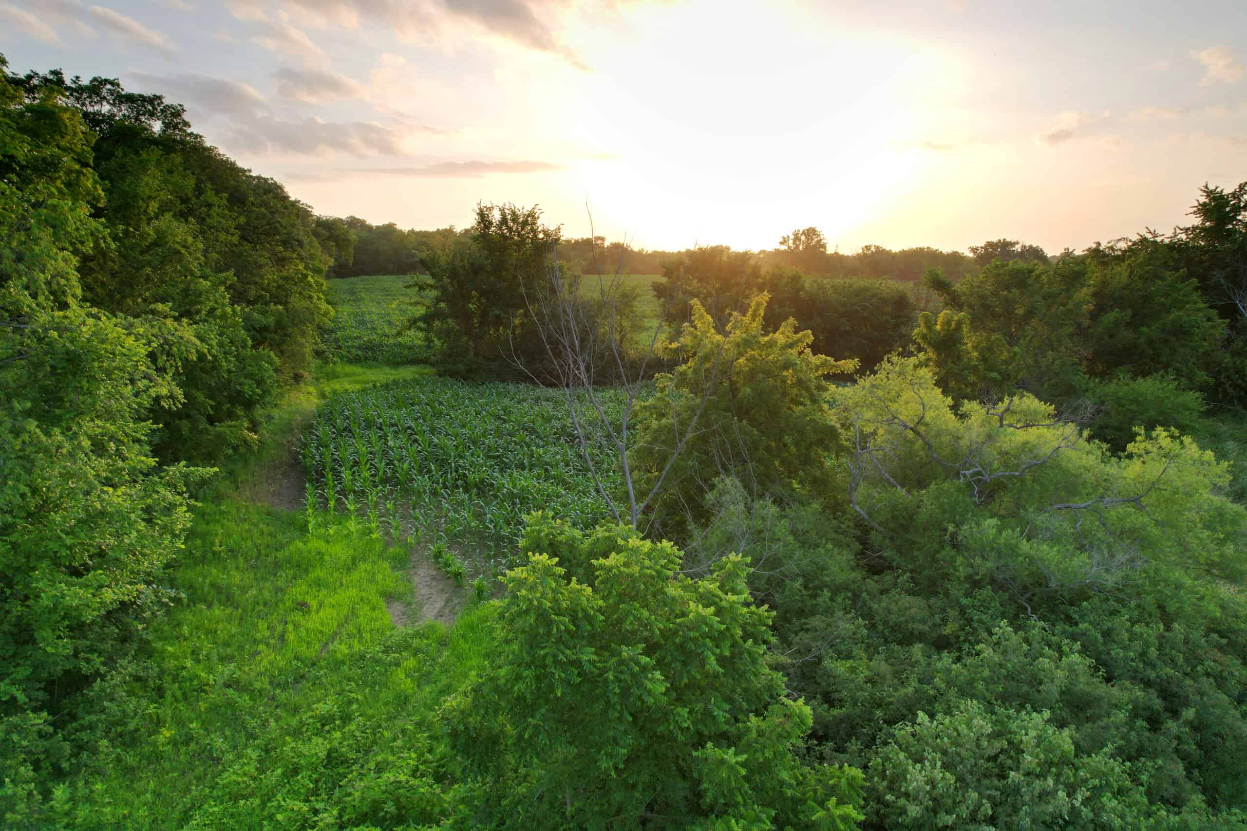 Recreational Land with Investment & Building Potential