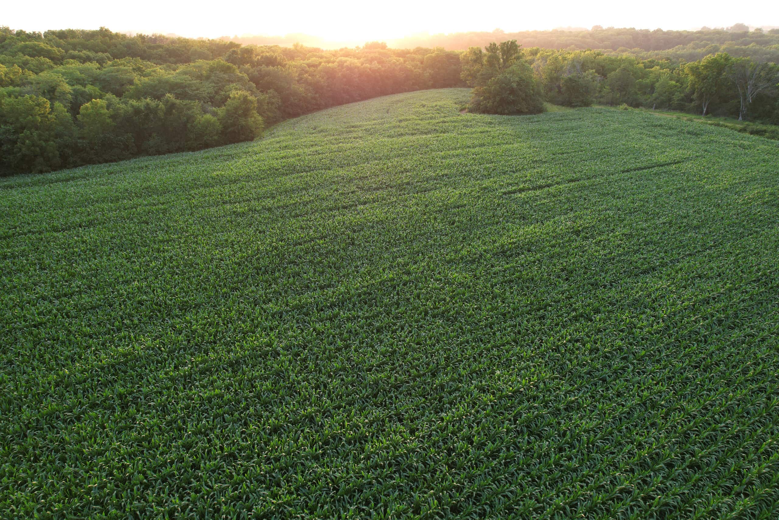 Recreational Land with Investment & Building Potential