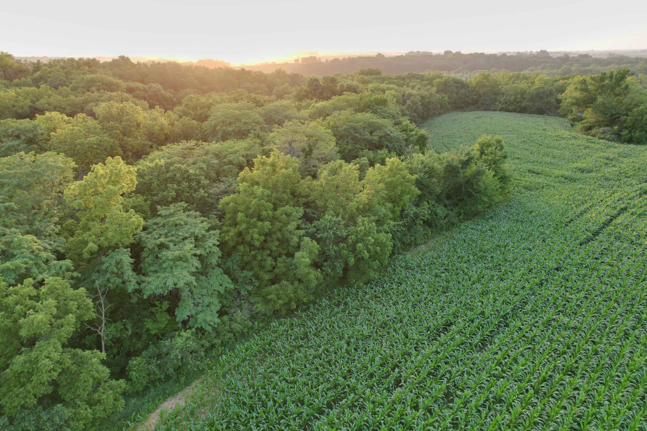 Recreational Land with Investment & Building Potential