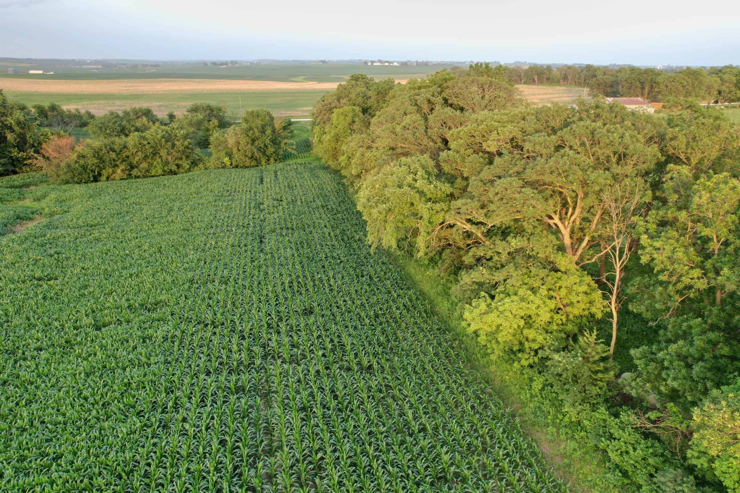 Recreational Land with Investment & Building Potential