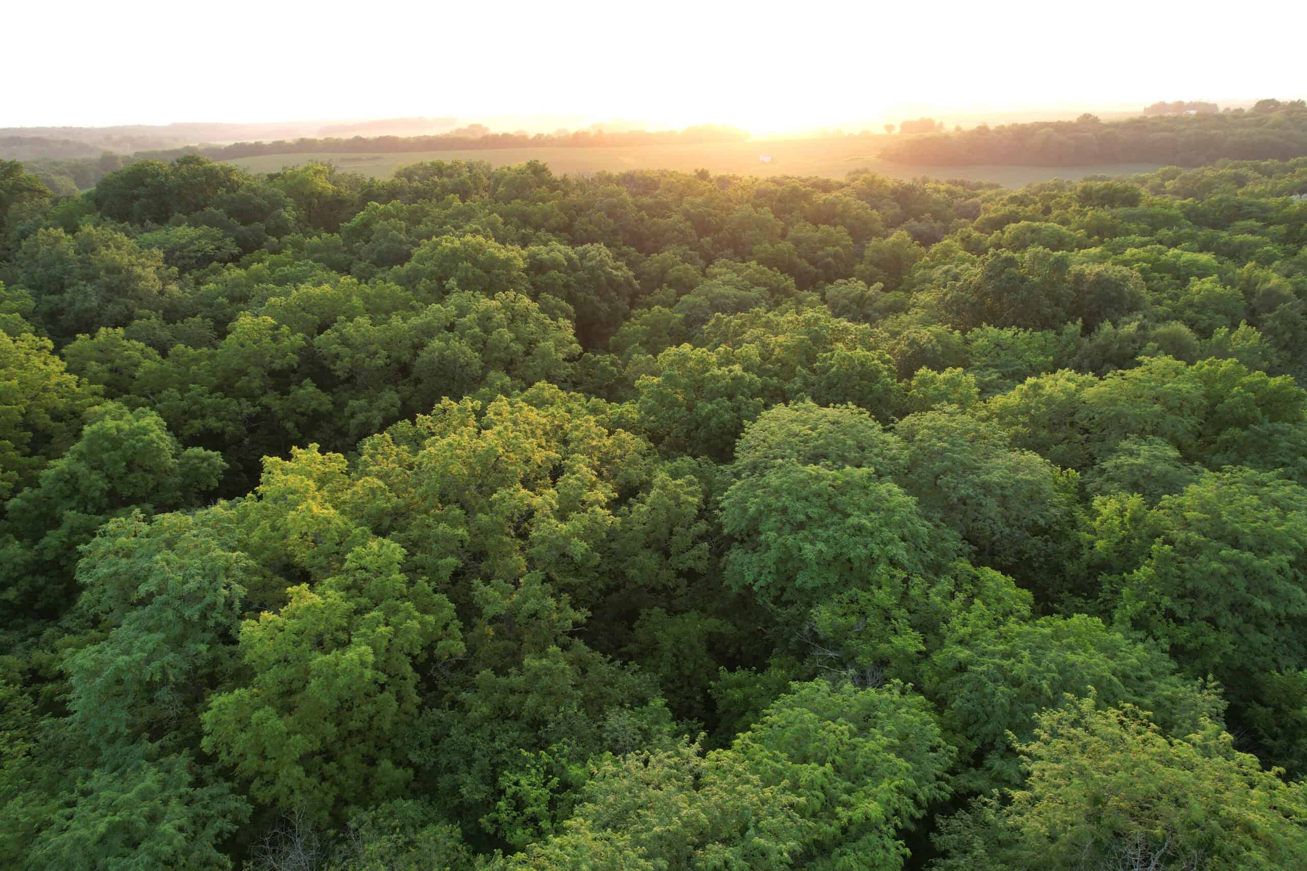 Recreational Land with Investment & Building Potential