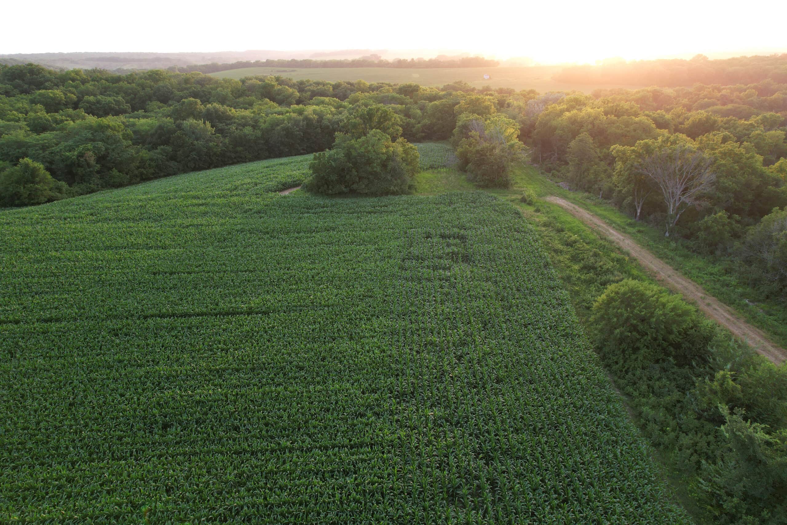 Recreational Land with Investment & Building Potential