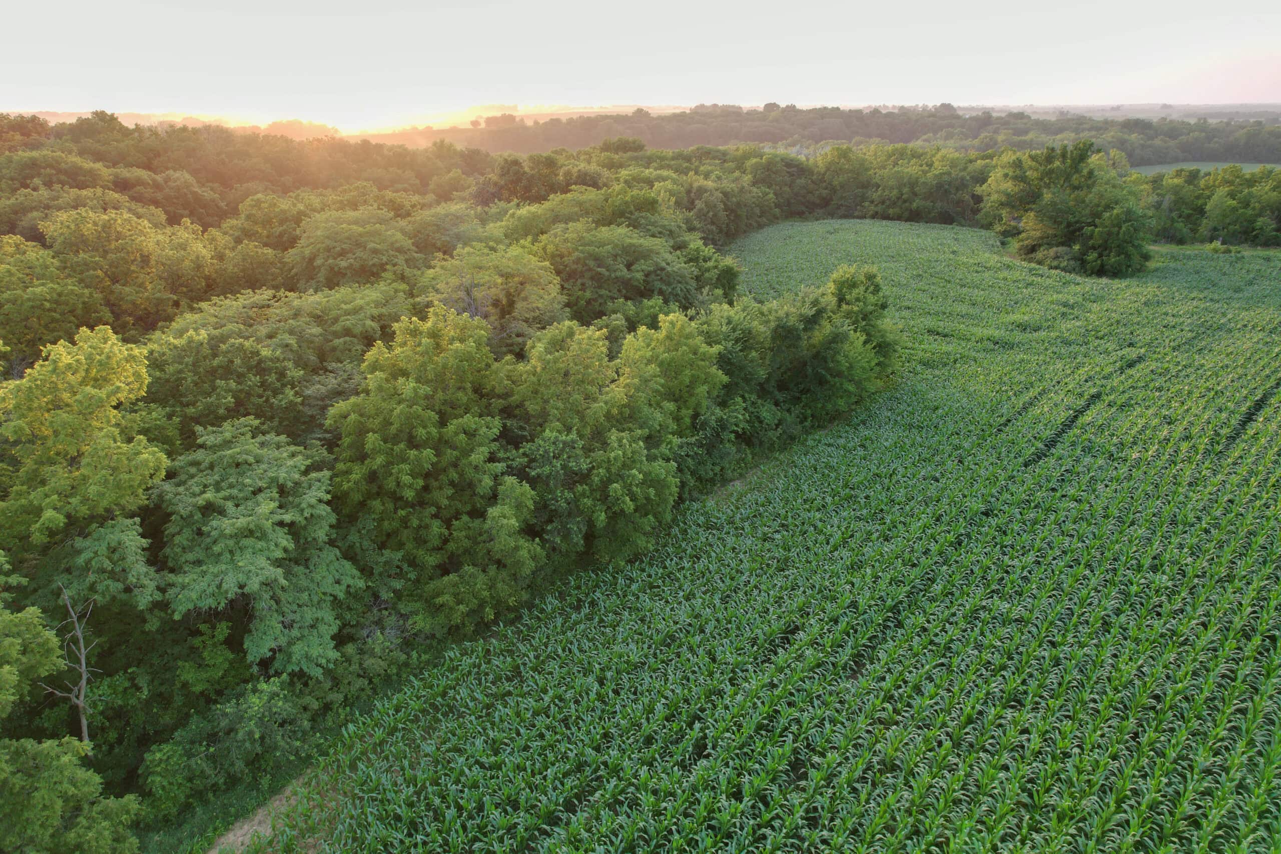 Recreational Land with Investment & Building Potential
