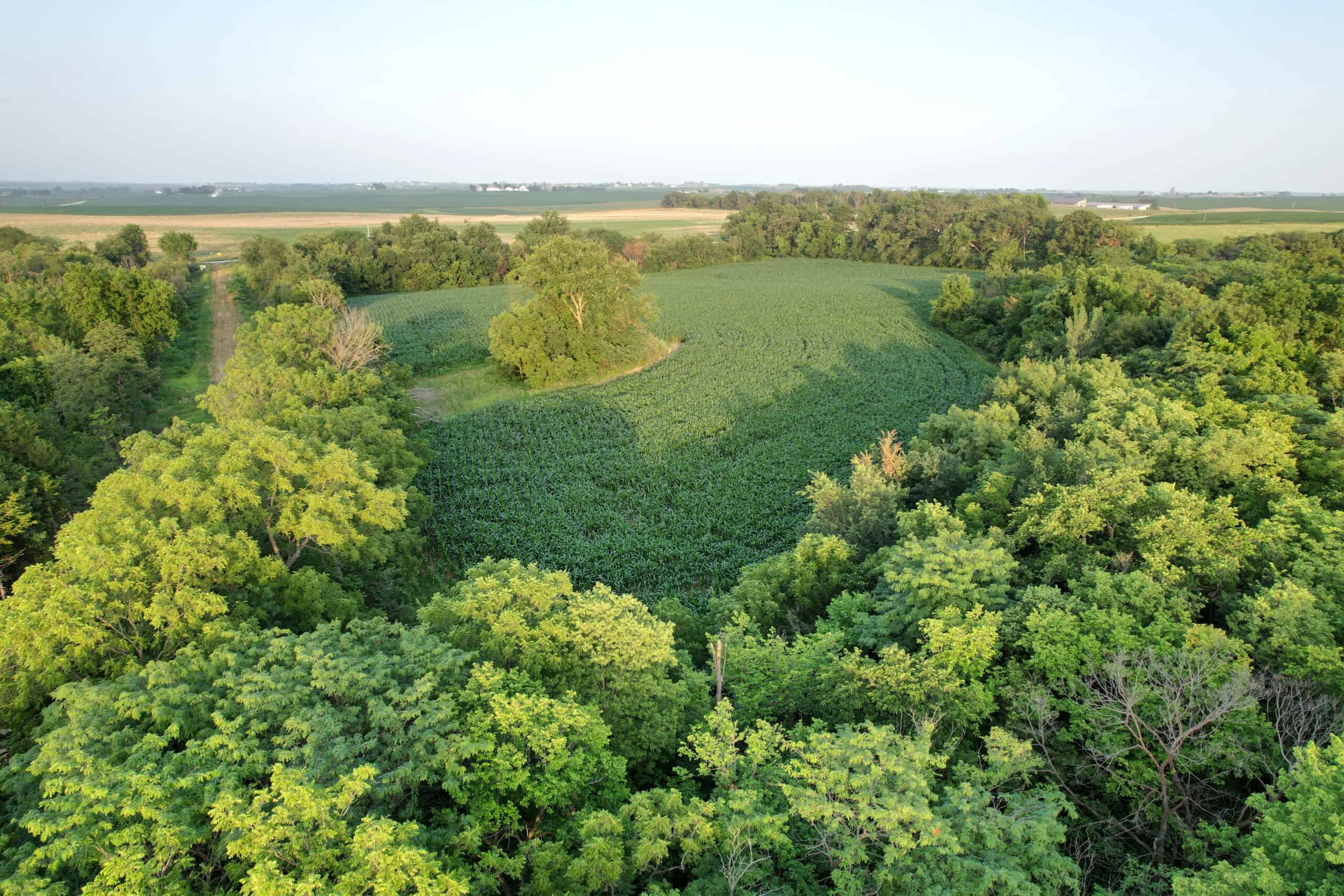 Recreational Land with Investment & Building Potential