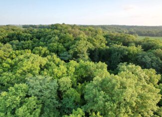 Recreational Land with Investment & Building Potential