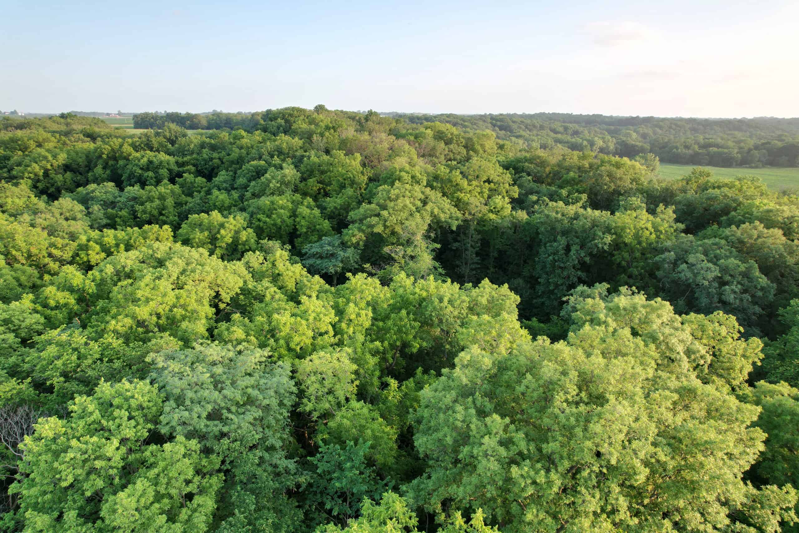 Recreational Land with Investment & Building Potential