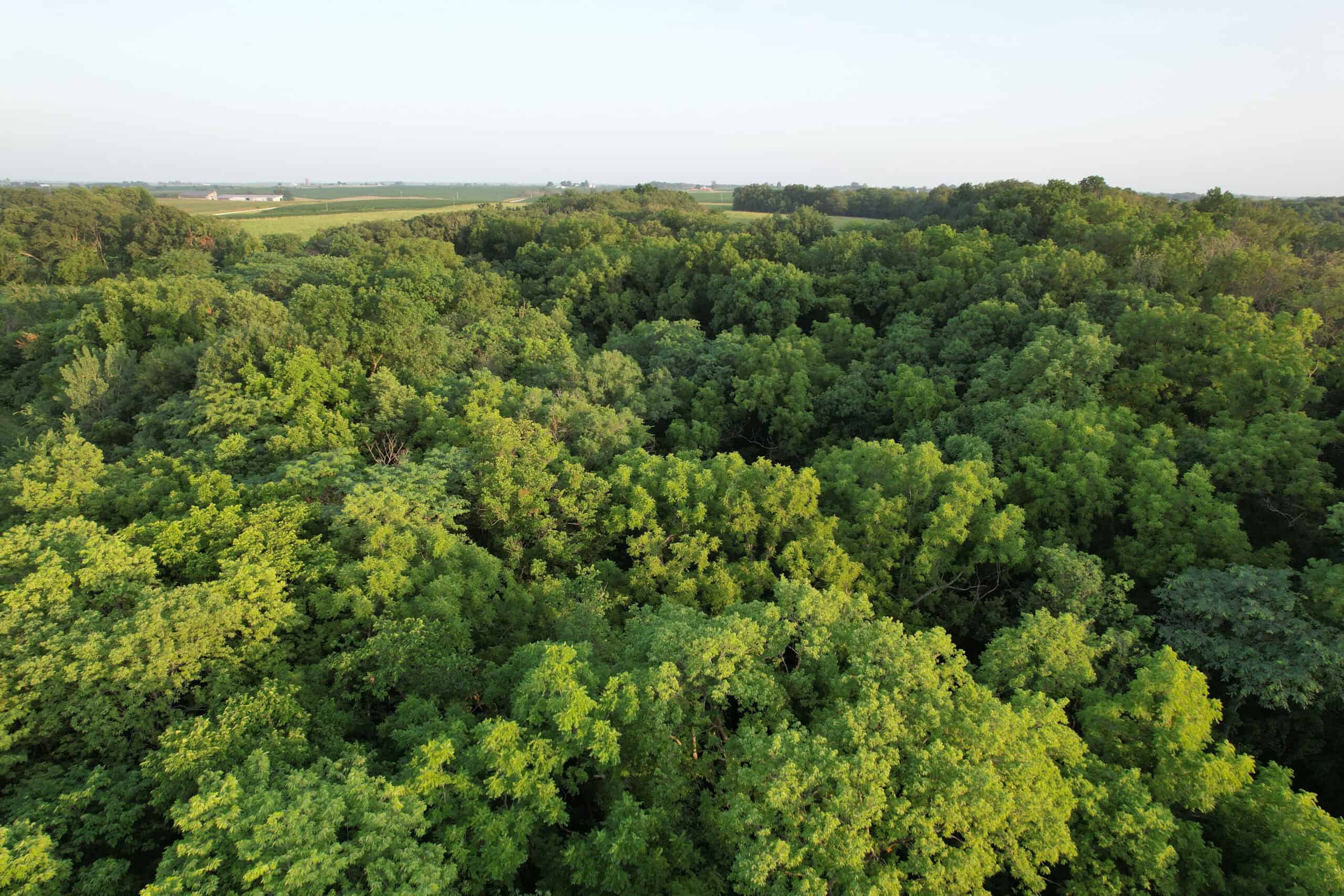 Recreational Land with Investment & Building Potential