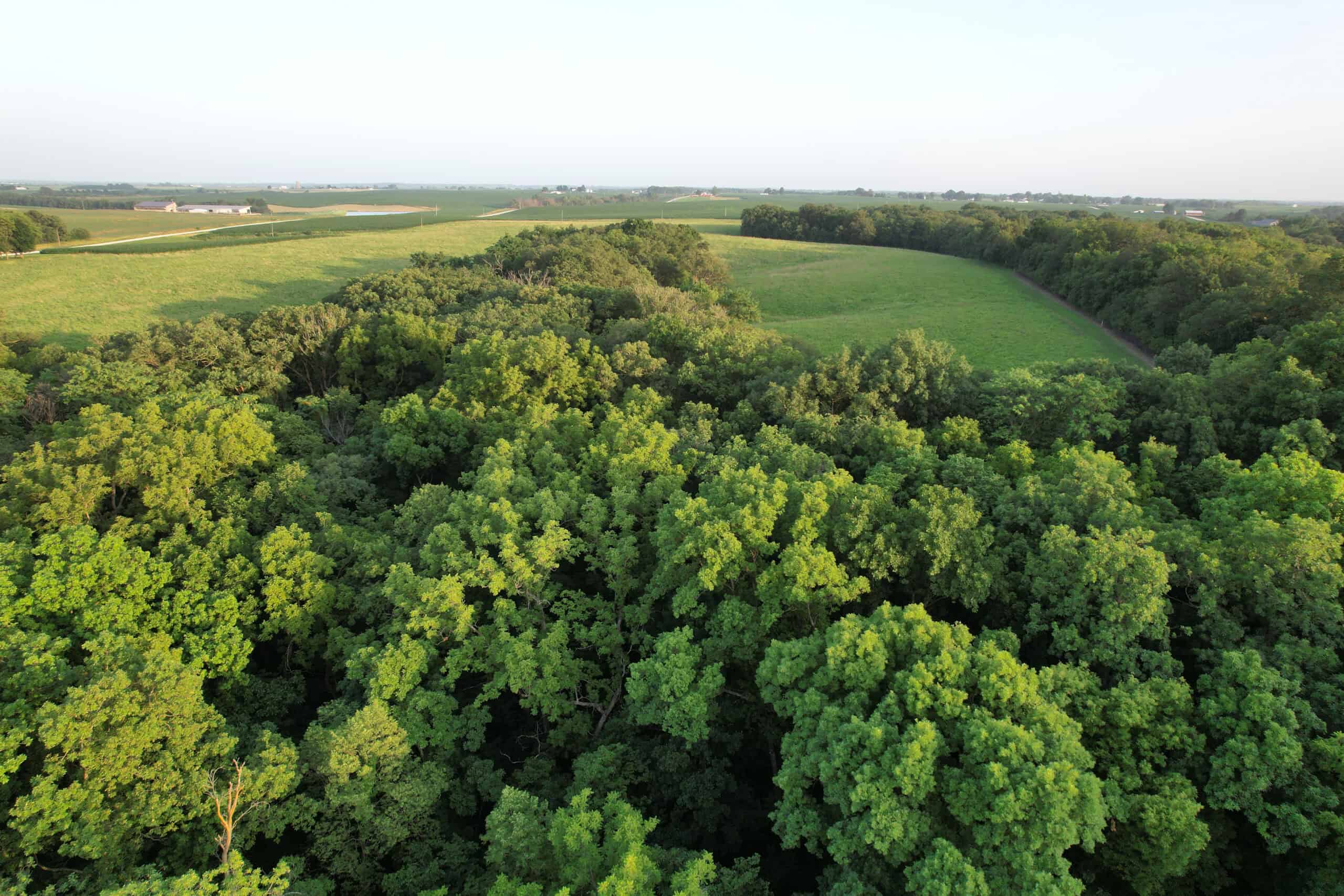 Recreational Land with Investment & Building Potential
