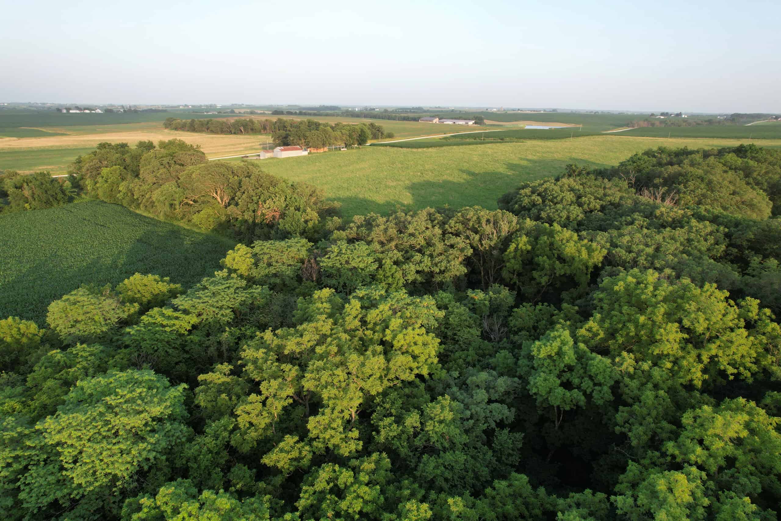 Recreational Land with Investment & Building Potential