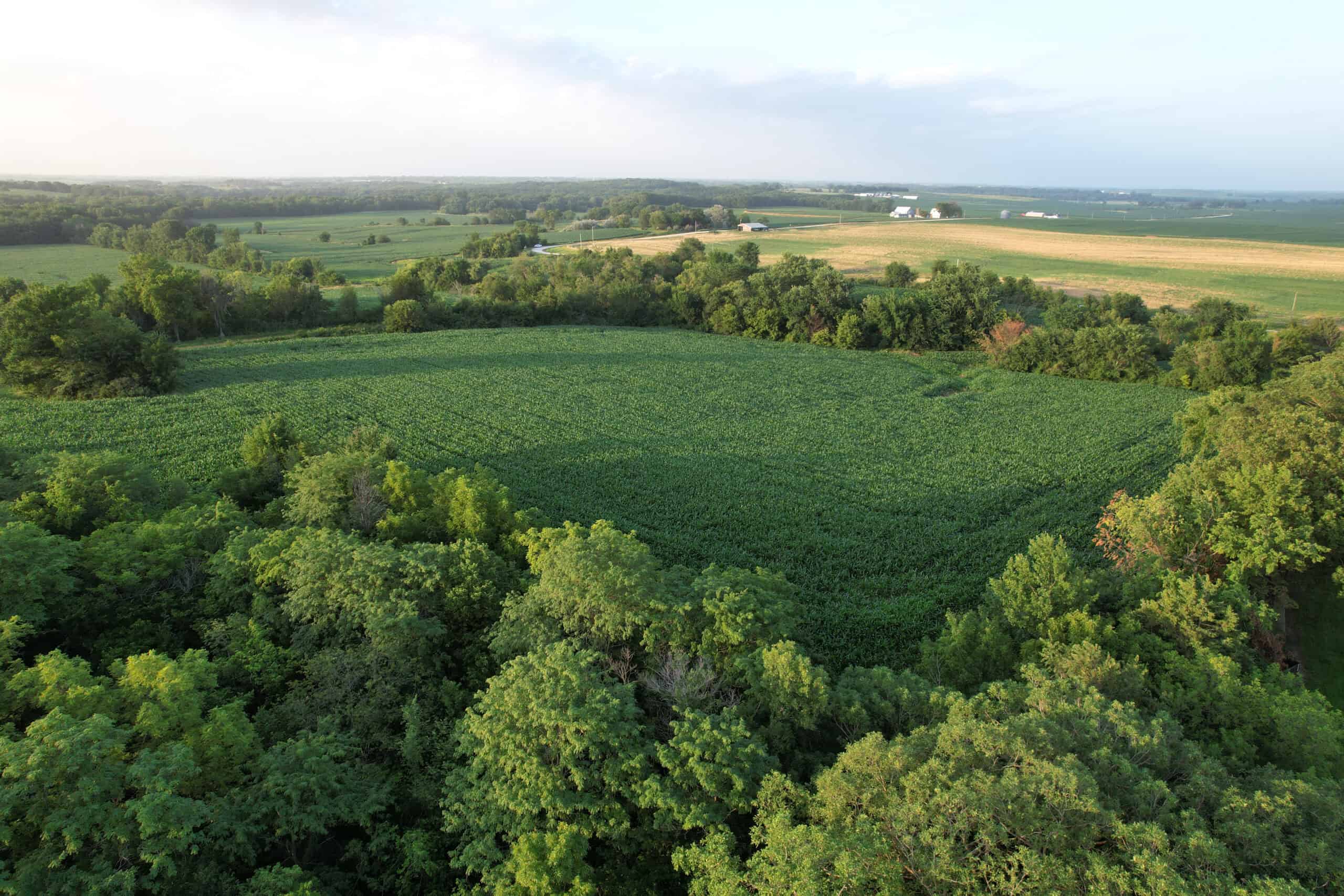 Recreational Land with Investment & Building Potential