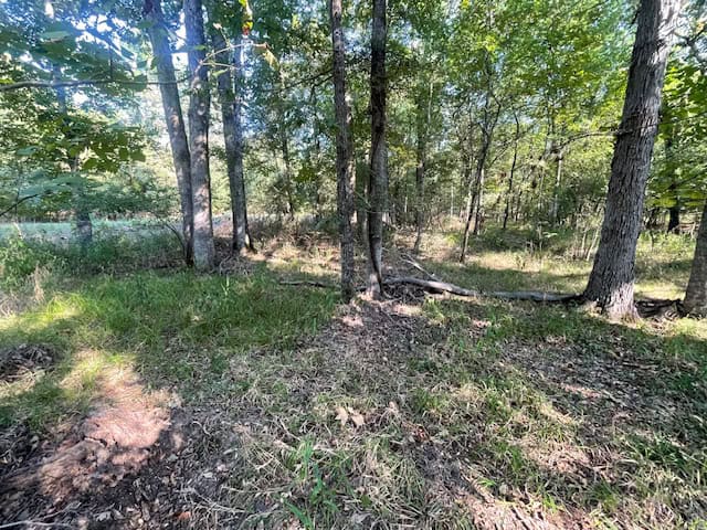 East Texas Hunting and Timberland for Sale