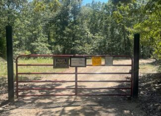 East Texas Hunting and Timberland for Sale