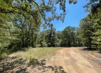 East Texas Hunting and Timberland for Sale