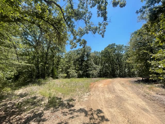 East Texas Hunting and Timberland for Sale