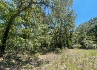 East Texas Hunting and Timberland for Sale