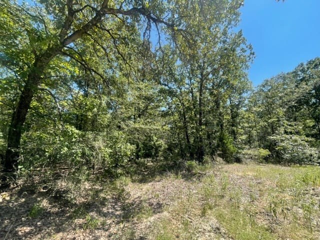 East Texas Hunting and Timberland for Sale