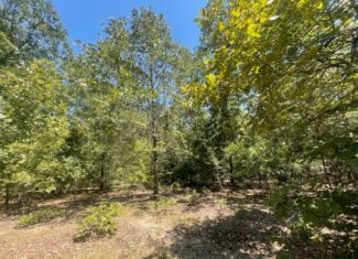 East Texas Hunting and Timberland for Sale