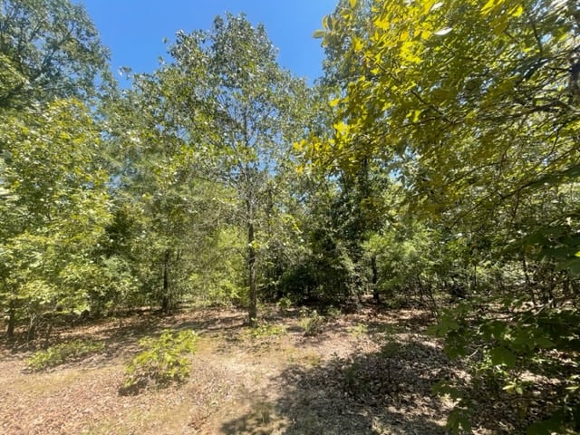 East Texas Hunting and Timberland for Sale