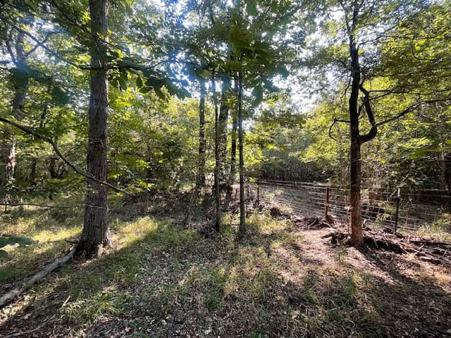 East Texas Hunting and Timberland for Sale