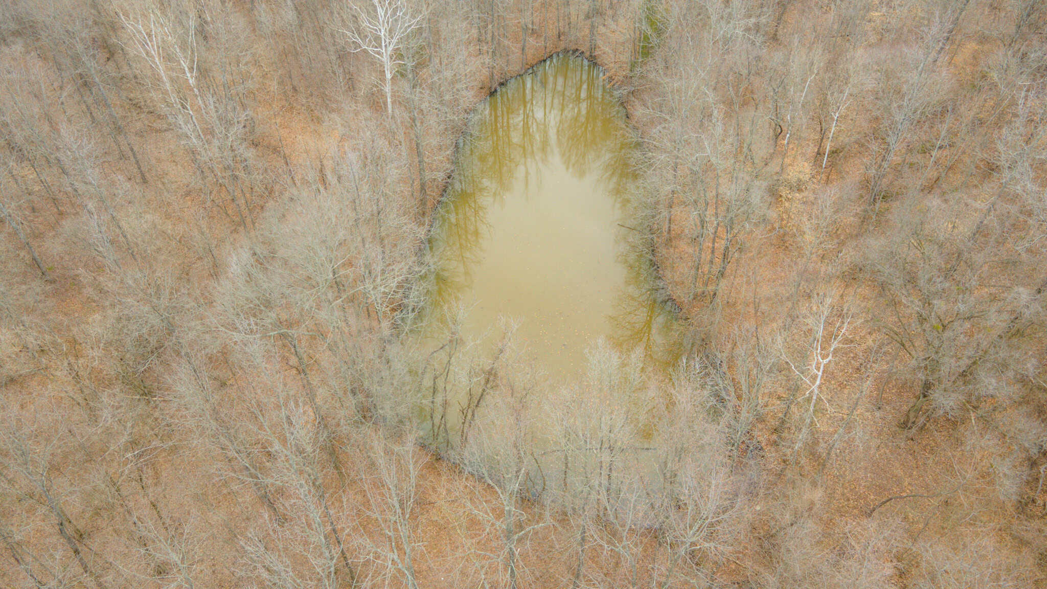 69 Acre Hunting Land For Sale in Lauderdale County, TN