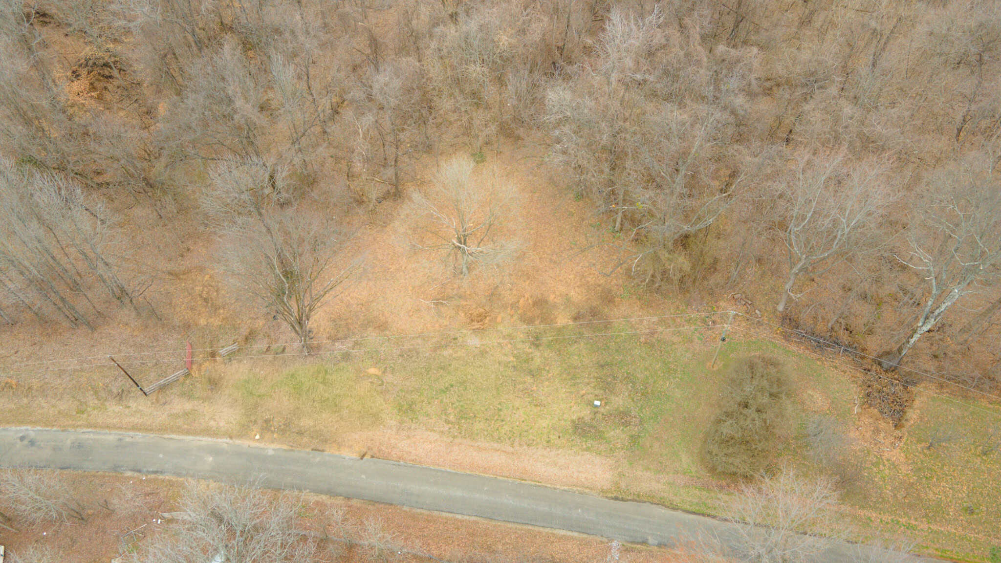 69 Acre Hunting Land For Sale in Lauderdale County, TN