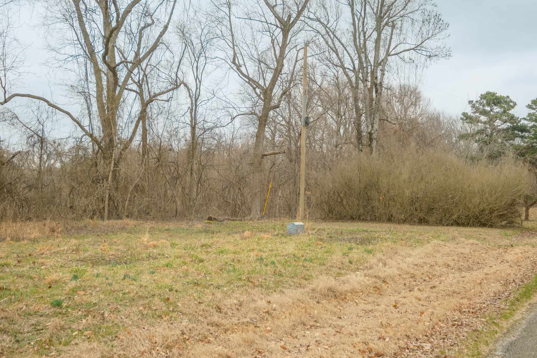 69 Acre Hunting Land For Sale in Lauderdale County, TN