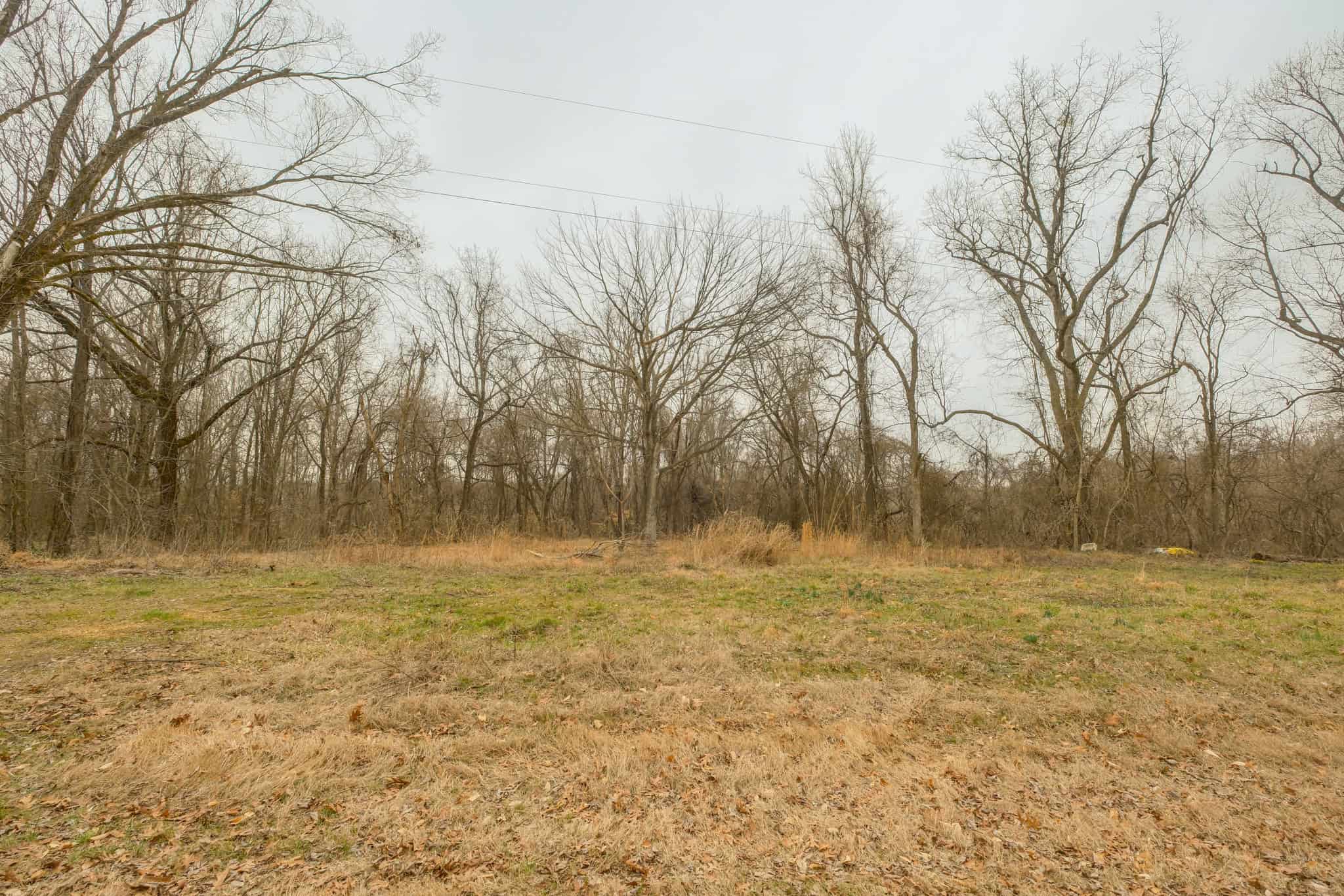 69 Acre Hunting Land For Sale in Lauderdale County, TN