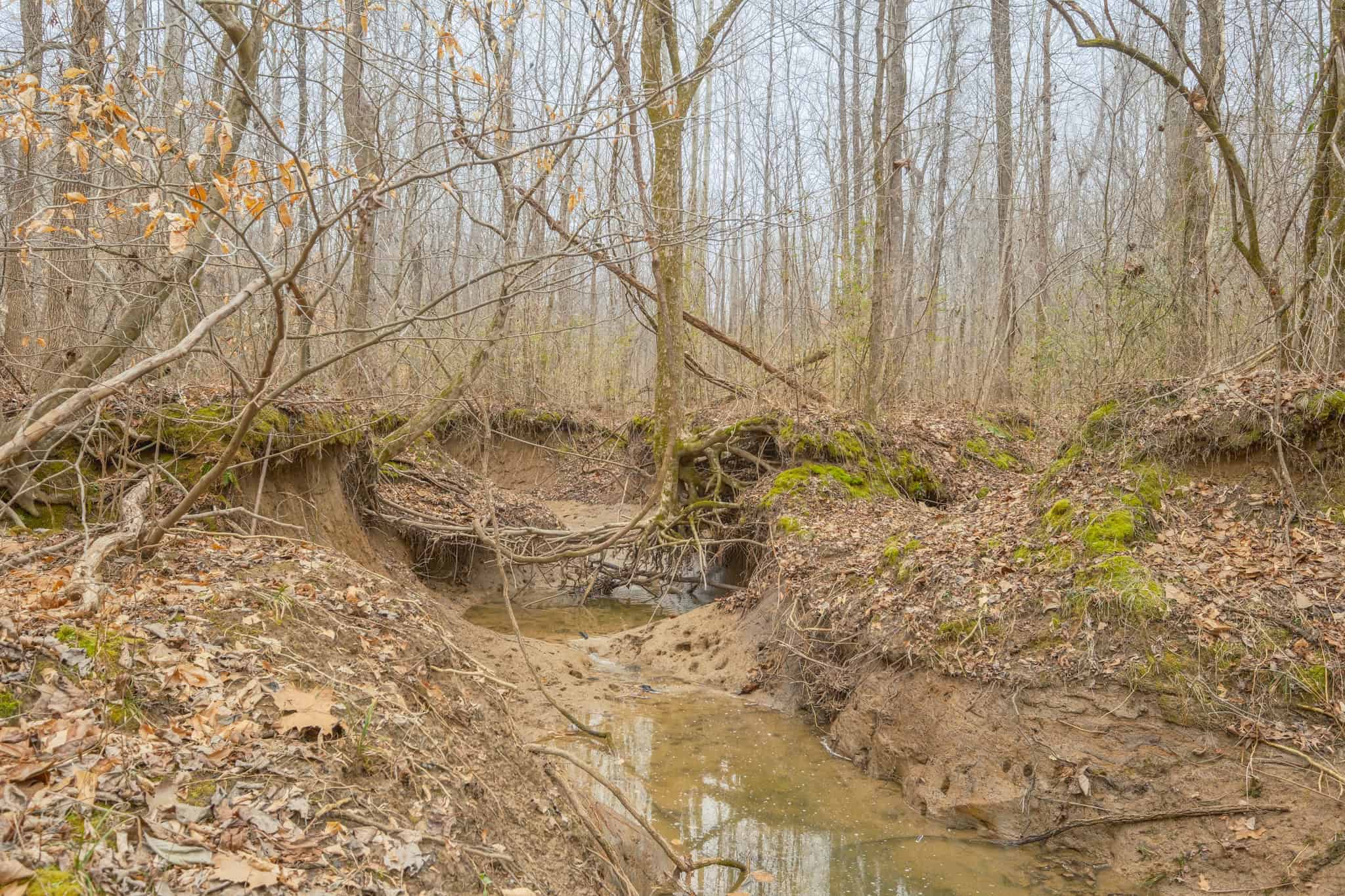 69 Acre Hunting Land For Sale in Lauderdale County, TN