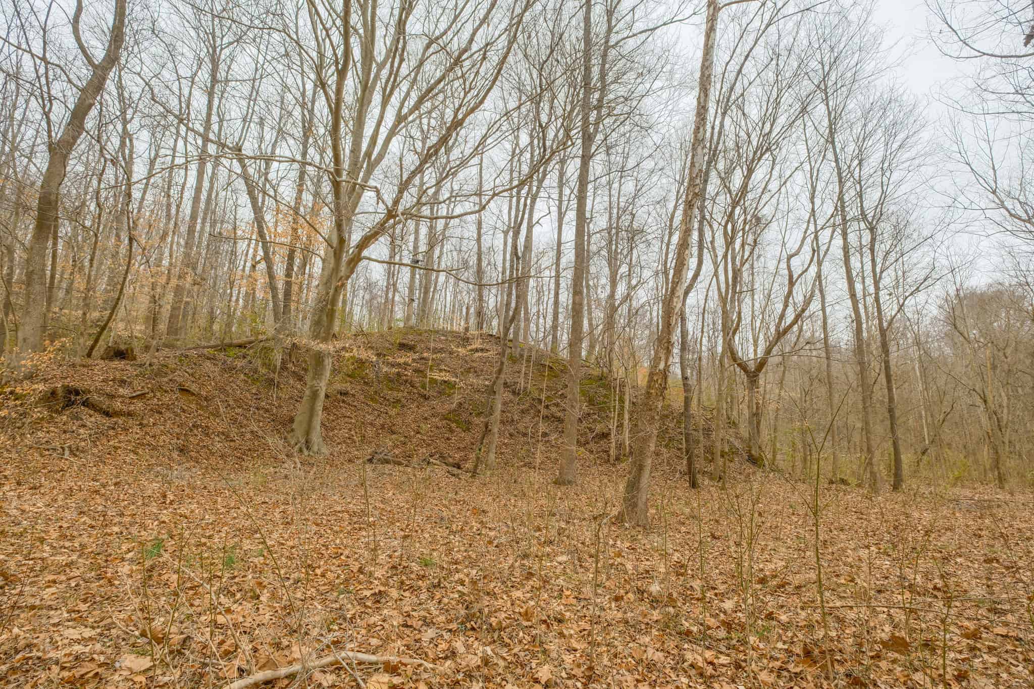 69 Acre Hunting Land For Sale in Lauderdale County, TN